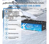 LiFePO4 Batterie 24V 200Ah BMS 5120W Stromspeicher Notstromversorgung Wohnmobil