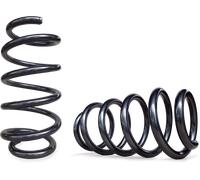 Linnepe Schraubenfedern für die Vorderachse Typ LCS 4.0 Schwarz