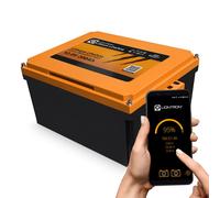 LIONTRON LiFePO4 Akku 12,8V 200Ah LX Arctic Untersitz BMS bis -30°C mit Bluetooth