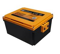 LIONTRON LiFePO4 12,8V 200Ah LX Arctic Under seat Battery; 2560Wh; geeignet für die Verwendung bis -30°C mit BMS und Bluetooth Überwachung; für Wohnmobil oder Solar 395x280x187mm - LIDUCSM12200LX-A