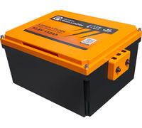 Liontron LiFePO4 Arctic Smart Bluetooth BMS Lithium-Batterie 12 V / 150 Ah