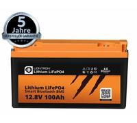 LIONTRON Lithium LiFePo4 Akku 13 kg 12.8V 80Ah Boot Solar Wohnmobil Scooter