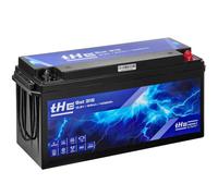ten Haaft Lithium Batterie LiFePO4 tHE Bat 315, 12,8 V, 315 Ah