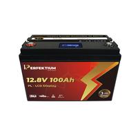 Lithium Batterie PL 100 AH