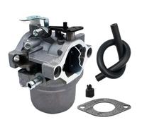 LIZAPUS Vergaser kompatibel mit Briggs & Stratton GO2549 0305-4A 10,5 PS Ersatz für Nikki 794457 Ersatzvergaser
