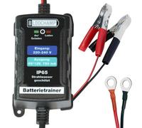 LODCHAMP 6V/12V KFZ Batterie Erhaltungsladegerät Erhaltungsgerät Batterietrainer