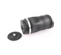 Luftfeder Fahrwerk für MERCEDES-BENZ R W251 Hinterachse