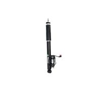 Luftfederbein ARNOTT EUROPE SK-3012