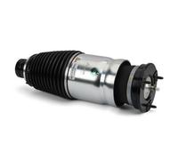 Arnott Luftfederbein [Hersteller-Nr. AS-3380] für Tesla