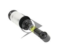 LUFTFEDERBEIN STOSSDÄMPFER VORDERACHSE LINKS ODER RECHTS - AIC 71144