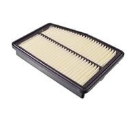 Luftfilter BLUE PRINT ADG022147