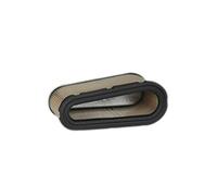 Luftfilter Brggs and Stratton Original 496894S