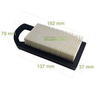 Luftfilter für Briggs & Stratton B&S 1-Zylinder Motor OHV Intek AVS 8 - 13,5 PS