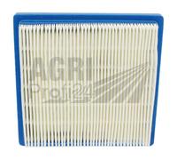 Luftfilter für Briggs & Stratton Motor 100700 Quantum