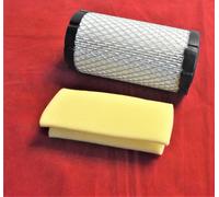 Luftfilter für Briggs Stratton Motor mit Vorfilter,793569, OEM Ersatzteile