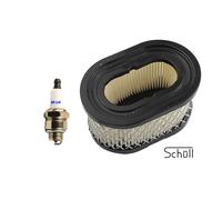 Luftfilter für Briggs & Stratton Quantum 6PS 494586 497725 497725S MTD Sabo