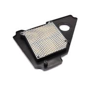 Luftfilter Hiflo HFA4103 für Yamaha YBR 125 ED YBR125 SPD RE Baujahr 2005-2016