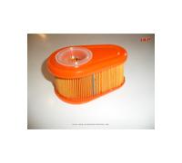 Luftfilter oval für Briggs Stratton DOV Motor
