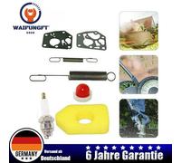 Luftfilter Vergaser Membrandichtung Zündkerze für Briggs Stratton Quattro Motore