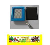 Luftfilter Zündkerze f. Briggs & Stratton Quantum 491588 491588S 399959 Wolf
