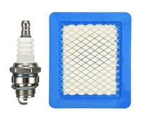 Luftfilter + Zündkerze für Briggs & Stratton Quantum 491588S 494245 399959