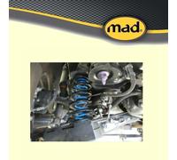 mad Höherlegung +20 Zusatz- verstärkte Federn hinten für Toyota RAV 4 V A5 H5