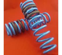 MAD HV-101098 verstärkte Federn Niveaufedern Mitsubishi Lancer, Outlander