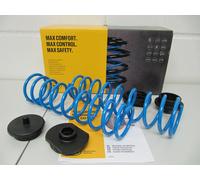 mad Zusatzfeder verstärkte Federn hinten für Octavia Superb Yeti Beetle EOS Golf