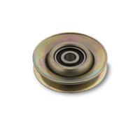 MAGNETI MARELLI Umlenk-/Führungsrolle, Keilriemen Universal Ø10mm 10mm für GENERAL MOTORS 331316170102