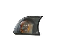 Magneti Marelli | Blinkleuchte | 710311330006