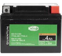 QUANTUM ENERGY Batterie