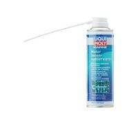 Marine Motor Innenkonservierer LIQUI MOLY 25032 Konservierung Vergaser 300ml