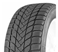 1x Winterreifen MASTERSTEEL WINTERPLUS 1 IS-W 245/45R18 100H XL