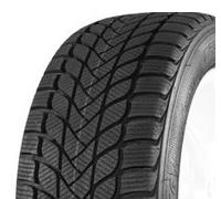 Mastersteel WinterPlus ISW 225/55 R17 97 H, Winterreifen