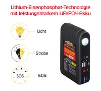 Mauk Powerbank mit Starthilfe 12V Jumpstart