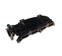 MEAT & DORIA Saugrohrmodul für HONDA