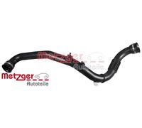 Ladeluftschlauch METZGER 2401184 für RENAULT