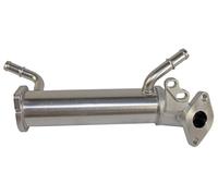 METZGER Kühler, Abgasrückführung 0892492 für Ford Fiat Citroën/Peugeot