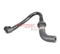 Unterdruckleitung, BremskraftverstÃ¤rker 2180011