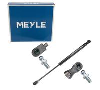 Gasfeder, Koffer-/Laderaum