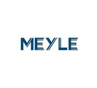 MEYLE 2x hinten Bremsscheibe Für MAZDA Cx-3 15-18 D10E-26-251
