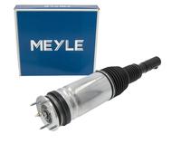 MEYLE Luftfederbein für LAND ROVER RANGE ROVER SPORT II L494 vorne links