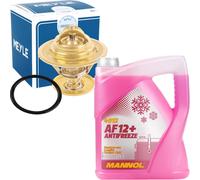 MEYLE Thermostat, Kühlmittel + Mannol Kühlerfrostschutz AF12+, 5 Liter