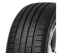 Minerva F209 205/55 R16 91 W