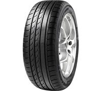 Minerva S210 235/35 R19 91 V