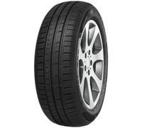 MINERVA Sommerreifen 195/65 R15 TL 91V 209