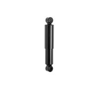 Stoßdämpfer MONROE MAGNUM Axle MONROE T5169