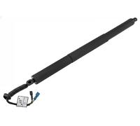 NTY ELEKTRISCHER HECKKLAPPEN LIFTER HINTEN RECHTS passend für BMW X1 | AE-BM-091