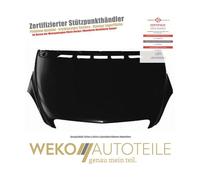 1685000 Motorhaube für MERCEDES-BENZ B-KLASSE (W245)