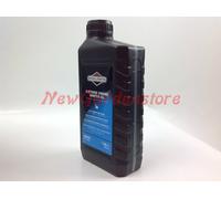 Briggs & Stratton 1 l Winter Motor Oil